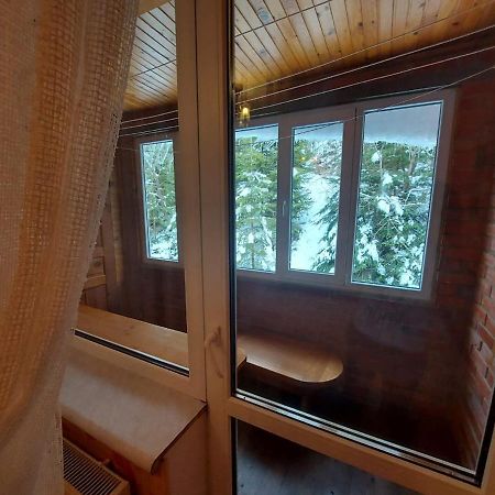 Затишок Villa Tysovets Dış mekan fotoğraf